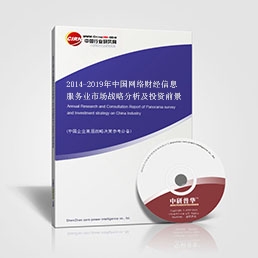 2014-2019年中国网络财经信息服务业市场战略